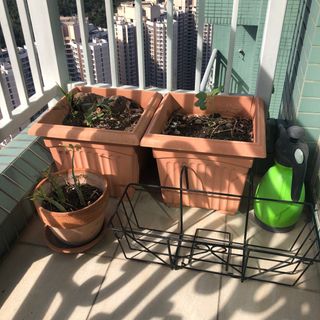 （分類：）位於 。 由 pierre_852 提交（商品編號 1406871757，圖片 1）。簡介： 。