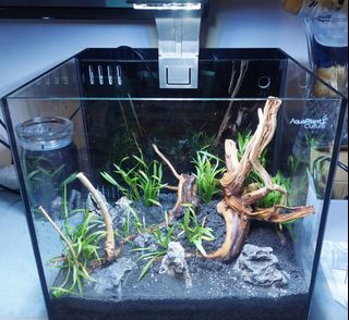 (Category: ) located in . Submitted by kalababy (Listing ID 1402081833, Image 1). Description: .