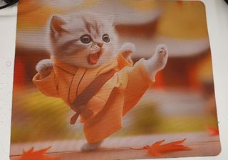 Cute Kung Fu Cat Mouse Pad