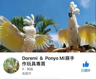 （分類：）位於 。 由 meow.moment 提交（商品編號 1402069670，圖片 1）。簡介： 。