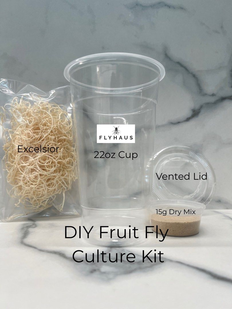 📦 Fruit Fly Culture Kit (Fruit Flies not Included) (Category: Pet Food) located in Singapore. Submitted by flyhaus (Listing ID 1400183901, Image 1). Description: Want to culture your own Drosophila Melanogaster or Hydei fruit flies at home? The FlyHaus DIY Culture Kit gives you the items you need to make a professional-grade FlyHaus culture at home — no mess, no guesswork. Perfect for beginners or breeders who want a clean, precise setup. ⸻ 🧬 P