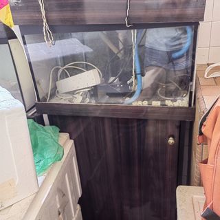 (Category: ) located in . Submitted by trista1183 (Listing ID 1401916062, Image 1). Description: .