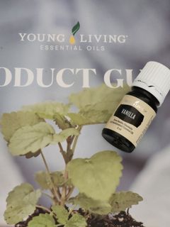 （分類：）位於 。 由 l.daisy 提交（商品編號 1401919477，圖片 1）。簡介： 。