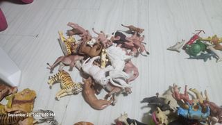 (Category: ) located in . Submitted by bhuvaneah (Listing ID 1407012920, Image 1). Description: .