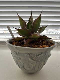 （分類：）位於 。 由 strenua 提交（商品編號 1407031897，圖片 1）。簡介： 。