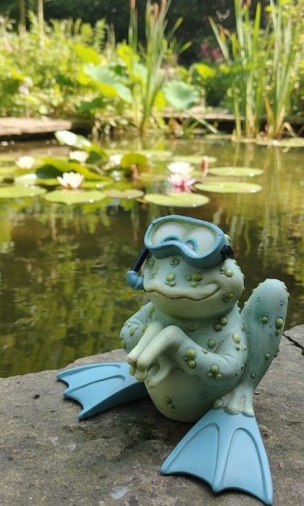 🐸 The Scuba Squad Frog (Category: Figurines & Statues) located in San Pablo. Submitted by stuff_happens_co124 (Listing ID 1407172981, Image 1). Description: A delightful whimsical frog figurine in full scuba gear—a charming piece crafted with intricate detail and a smooth resin finish. This playful amphibian brings a splash of fun and unexpected charm to any space, making him perfect for a pond edge, bathroom windowsill, or garden corner. A uniq