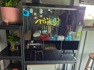 (Category: ) located in . Submitted by meng_76 (Listing ID 1407089927, Image 1). Description: .