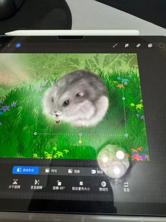由 cccc280209 (刊登 ID 1407041896，圖片 1) 提交，位於 的 (類別：)，說明：。