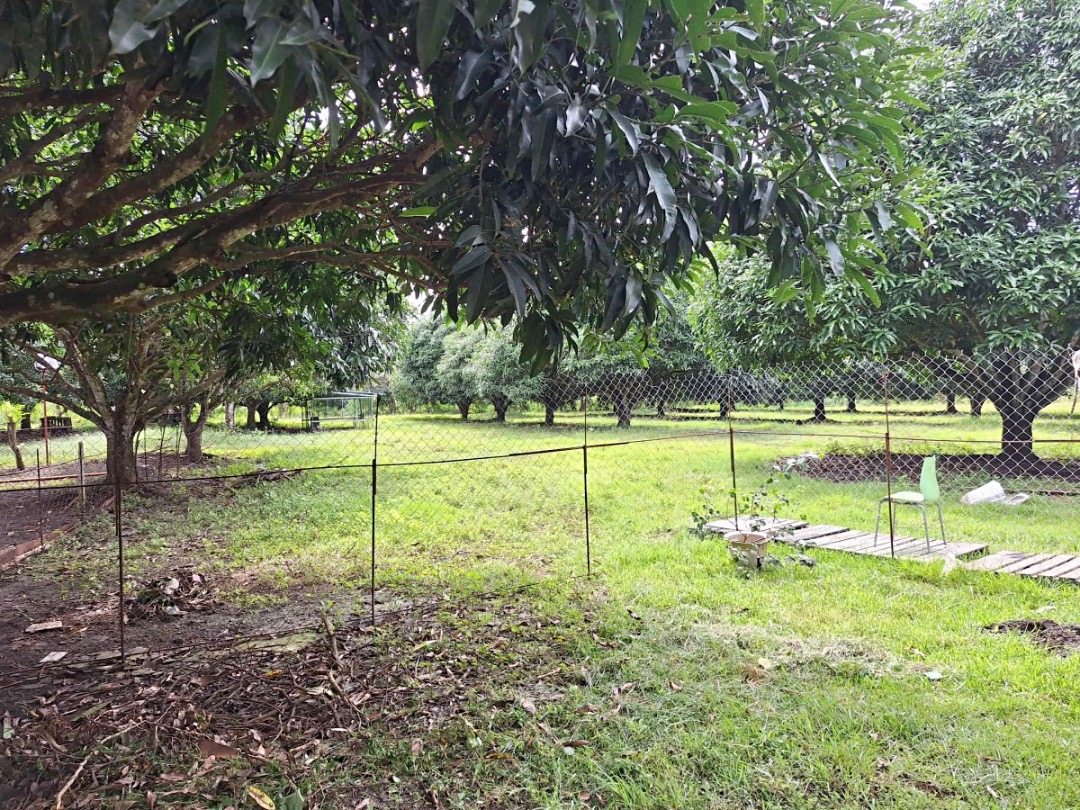 (Category: ) located in . Submitted by philrealtyglobalmarketing (Listing ID 1402182524, Image 1). Description: .