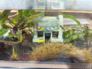 (Category: ) located in . Submitted by yume90 (Listing ID 1402230642, Image 1). Description: .