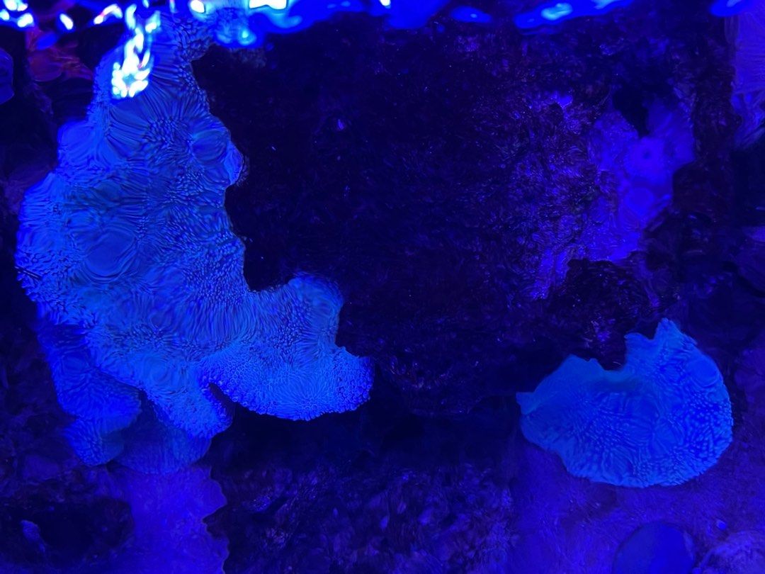Gallery image with a fresh perspective
