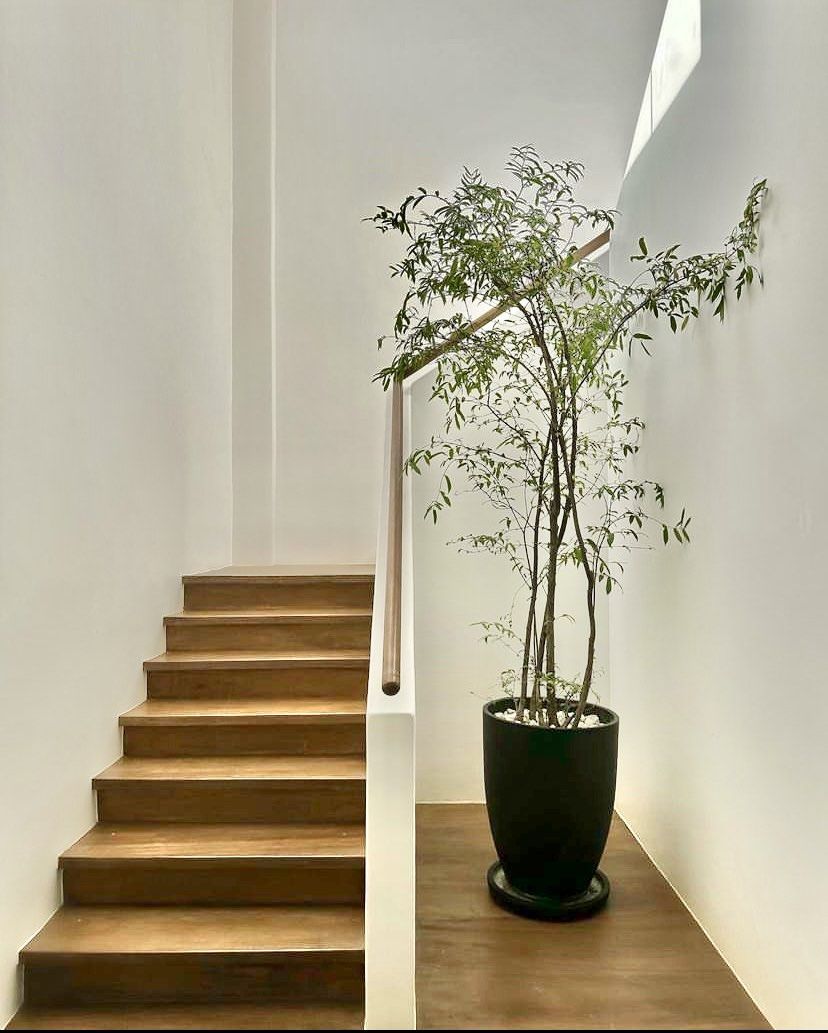 Concrete Pots & Planters for Sale (Category: Pots & Planters) located in Manila. Submitted by pebspots (Listing ID 1402226659, Image 2). Description: Concrete Pots & Planters for Sale Material: Smooth Finish Cement / Concrete Available in Bare and Painted Shapes: Round Square Rectangular Tapered Colors: Black White Brown Gray Etc... Good For Indoor and Outdoor With Drain Hole Sizes: Small To Large Size Pots We DELIVER All Over Metro Manila and ne