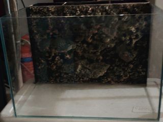 (Category: ) located in . Submitted by sebstreet (Listing ID 1396383720, Image 1). Description: .