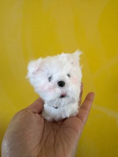 (Category: ) located in . Submitted by thecollectiveworkshop (Listing ID 1402114065, Image 1). Description: .