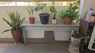 (Category: ) located in . Submitted by lingtfl (Listing ID 1402179538, Image 1). Description: .