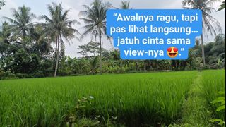 (Kategori: ) berada di . Dikirim oleh devi_agen (ID iklan 1402221402, Gambar 1). Deskripsi: .