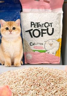 (Category: ) located in . Submitted by tofucatlitter (Listing ID 1402397283, Image 1). Description: .