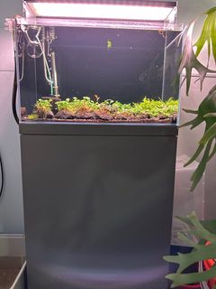 (Category: ) located in . Submitted by oranda77 (Listing ID 1402409758, Image 1). Description: .