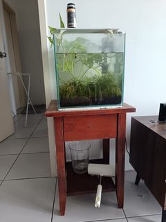 (Category: ) located in . Submitted by ipanponpun36396 (Listing ID 1402475902, Image 1). Description: .