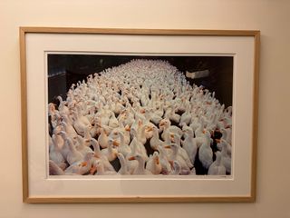 （分類：）位於 。 由 chahflf 提交（商品編號 1402409563，圖片 1）。簡介： 。