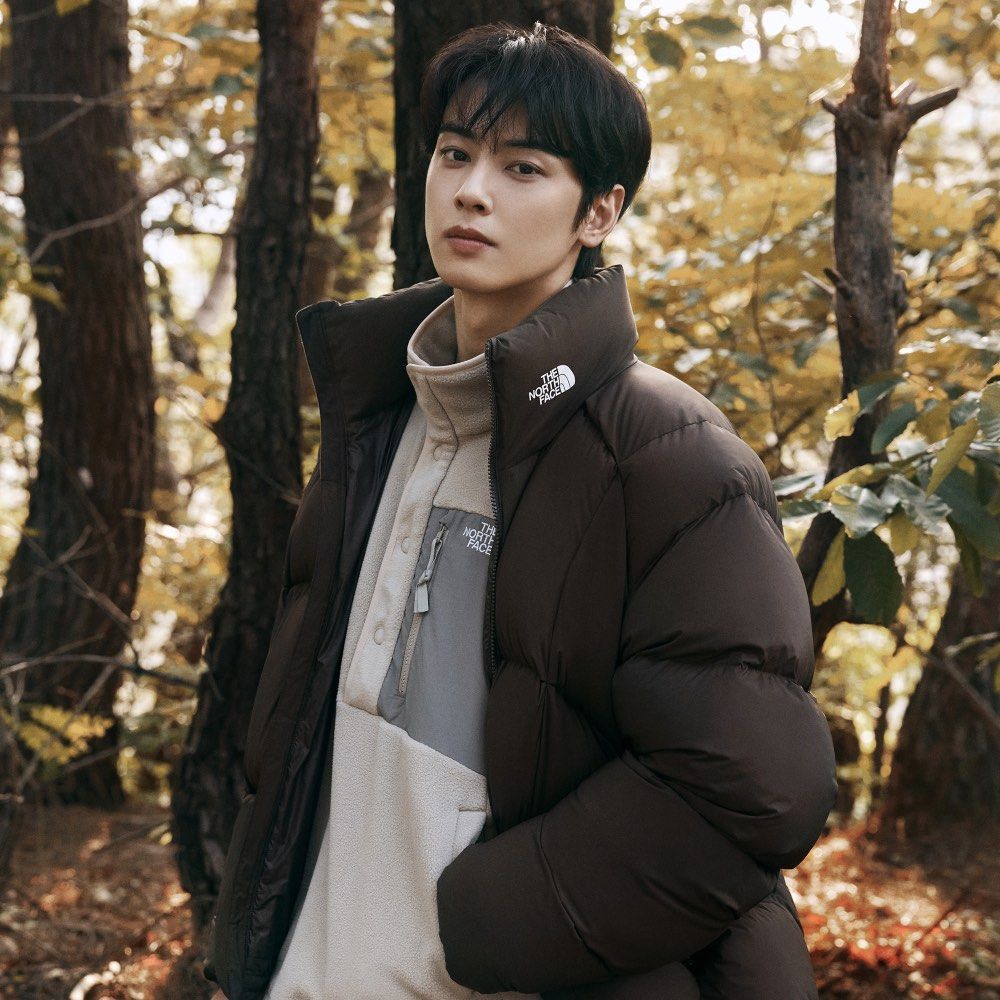 5 color 25FW The North Face men M'S OLAN DOWN JACKET (RDS) winter