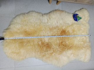 (Category: ) located in . Submitted by goldhero (Listing ID 1402514005, Image 1). Description: .