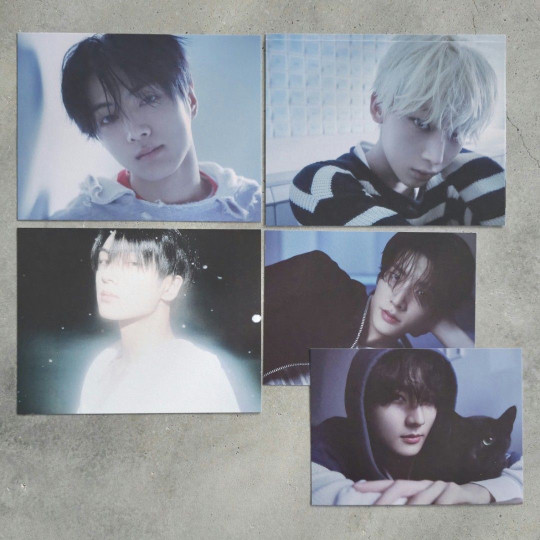 enhypen jungwon, heeseung, jay, jake, sunghoon, sunoo, ni-ki romance ...