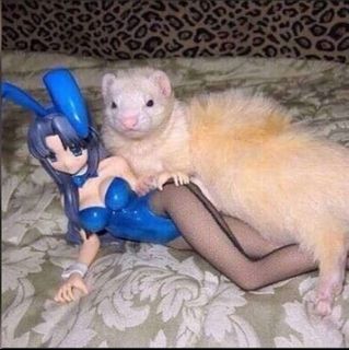 (Category: ) located in . Submitted by cheesecakeedgar (Listing ID 1402728368, Image 1). Description: .