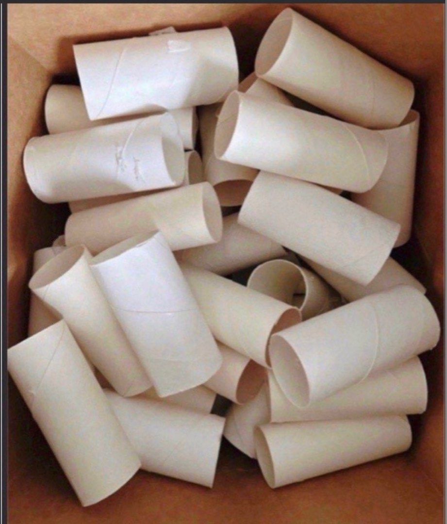 Empty Toilet Paper Rolls - Crafting Supplies, Hobbies & Toys ...