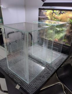 (Category: ) located in . Submitted by lthben (Listing ID 1402731105, Image 1). Description: .