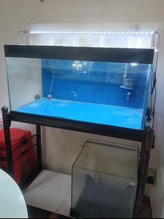 (Category: ) located in . Submitted by ednomse (Listing ID 1402860672, Image 1). Description: .