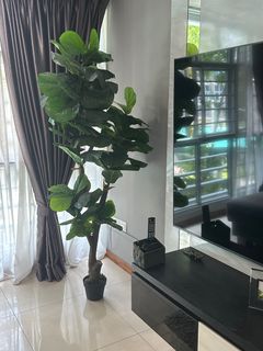 (Category: ) located in . Submitted by ce161 (Listing ID 1399051077, Image 1). Description: .