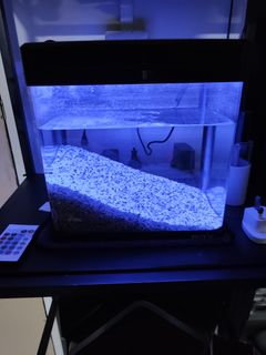 (Category: ) located in . Submitted by jasrambo82 (Listing ID 1402977489, Image 1). Description: .