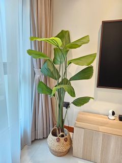 (Category: ) located in . Submitted by emma_e (Listing ID 1402886014, Image 1). Description: .