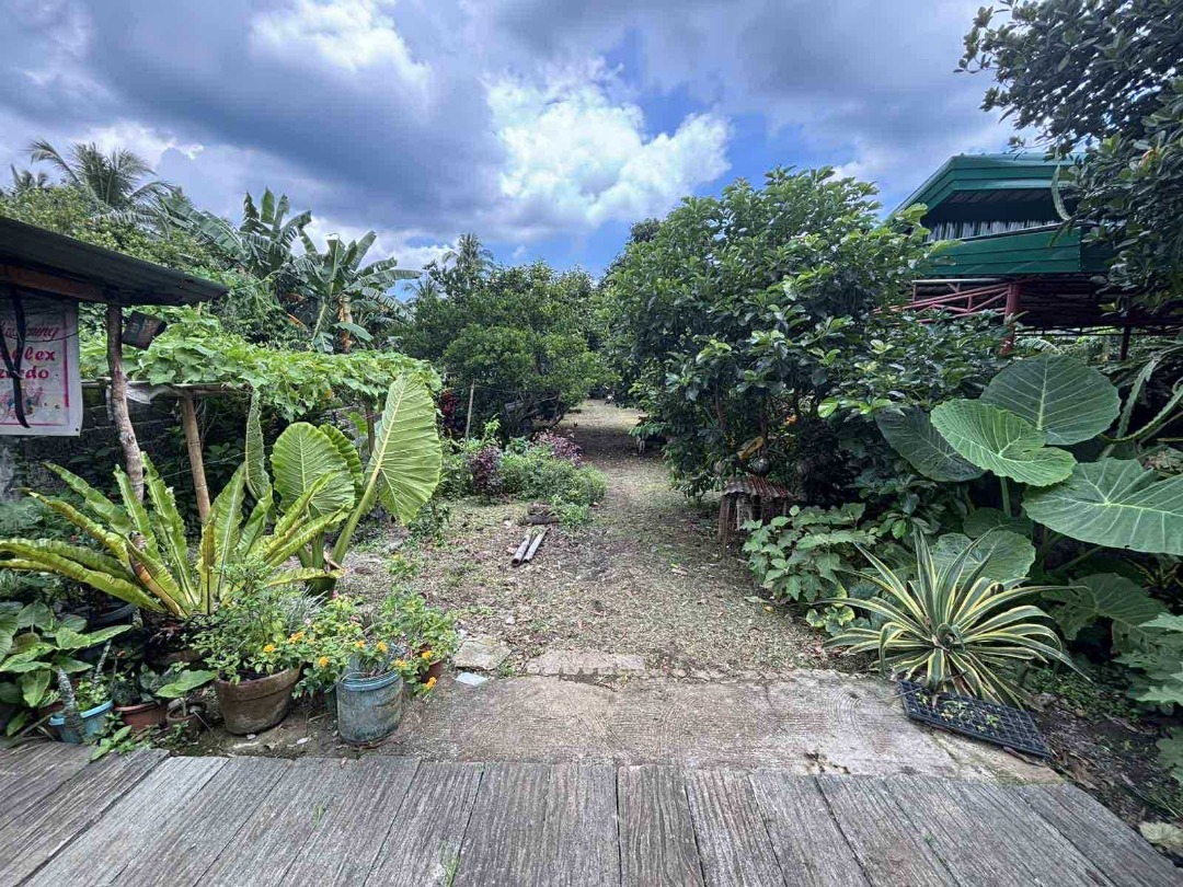 (Category: ) located in . Submitted by everbrightph_09171681688 (Listing ID 1402879667, Image 1). Description: .