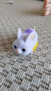 (Category: ) located in . Submitted by oddstar.7040f2 (Listing ID 1402929492, Image 1). Description: .