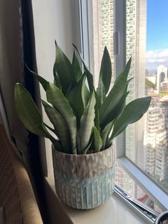 （分類：）位於 。 由 mchu2023 提交（商品編號 1403128711，圖片 1）。簡介： 。