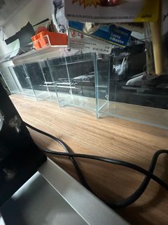 (Category: ) located in . Submitted by punksai77 (Listing ID 1403038237, Image 1). Description: .