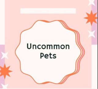 (Category: ) located in . Submitted by cattytabbys (Listing ID 1403191245, Image 1). Description: .