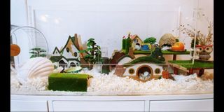 (Category: ) located in . Submitted by Bubb95 (Listing ID 1403090083, Image 1). Description: .