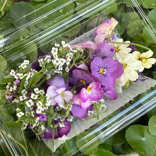 （分類：）位於 。 由 _delightgarden 提交（商品編號 1407197491，圖片 1）。簡介： 。