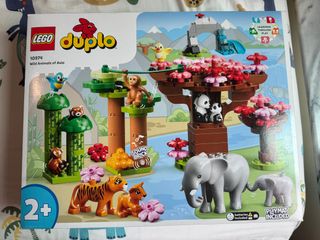 (Category: ) located in . Submitted by dodo_0920 (Listing ID 1407208669, Image 1). Description: .