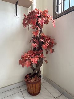 (Category: ) located in . Submitted by grace7ting (Listing ID 1408913927, Image 1). Description: .