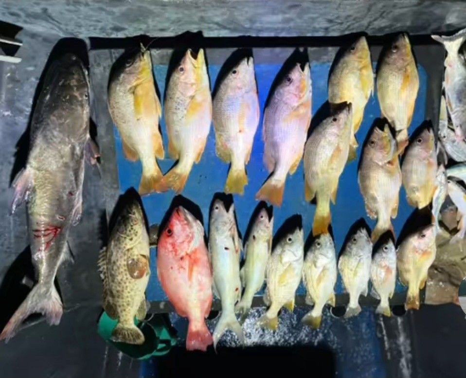 BATU PAHAT FISHING TRIP 25 APRIL 2026.[9HRS TRIP](S/N: OFA25042026 ...