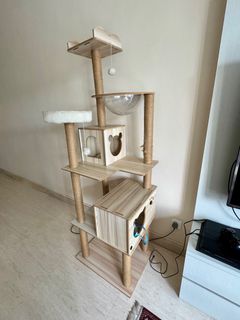 (Category: ) located in . Submitted by anaidris87 (Listing ID 1408900754, Image 1). Description: .