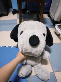 由 mabbel (刊登 ID 1409202864，圖片 1) 提交，位於 的 (類別：)，說明：。