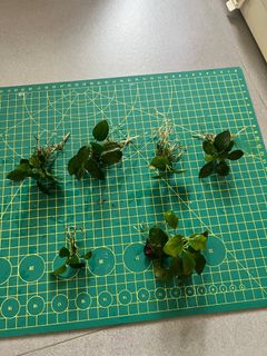 （分類：）位於 。 由 5d5d5d 提交（商品編號 1409200412，圖片 1）。簡介： 。
