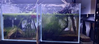 (Category: ) located in . Submitted by anakinroy (Listing ID 1409081833, Image 1). Description: .