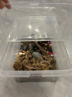 (Category: ) located in . Submitted by wendyws (Listing ID 1409191309, Image 1). Description: .