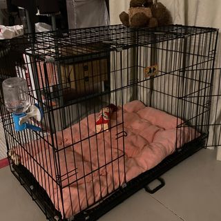 (Category: ) located in . Submitted by ohloey12 (Listing ID 1408855409, Image 1). Description: .